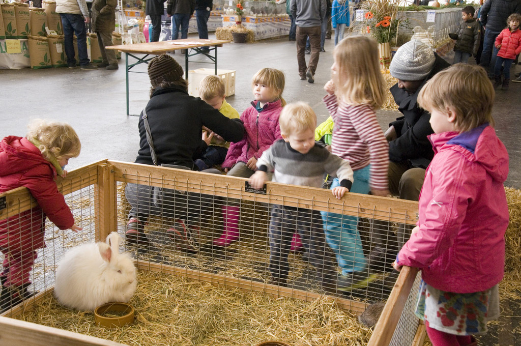 kleintierzucht landesschau_11.jpg