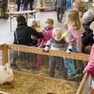 kleintierzucht landesschau_11.jpg