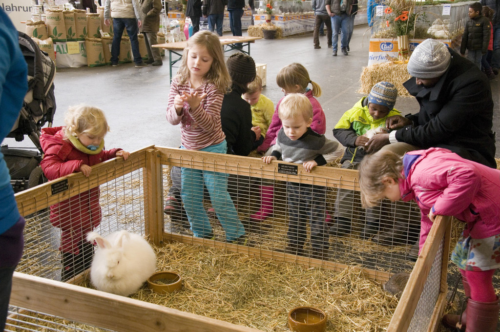 kleintierzucht landesschau_12.jpg