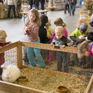 kleintierzucht landesschau_12.jpg