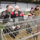 kleintierzucht landesschau_27.jpg