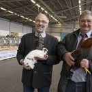 kleintierzucht landesschau_34.jpg