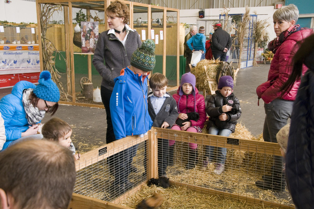 kleintierzucht landesschau_35.jpg