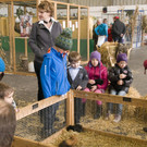 kleintierzucht landesschau_35.jpg