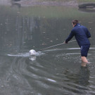 k-IMG_7281.JPG