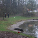 k-IMG_7102.JPG
