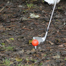 k-IMG_7223.JPG