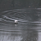 k-IMG_7243.JPG