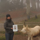 KOE_Barockesel im Wildpark 6.jpg