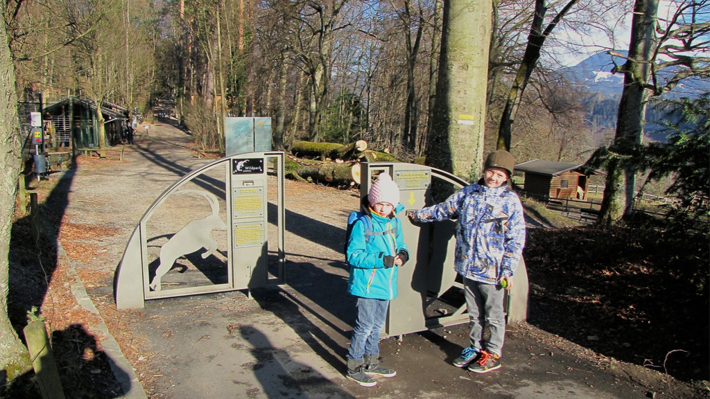 KOE_Barockesel im Wildpark 12.jpg