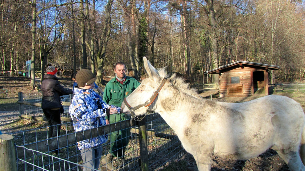 KOE_Barockesel im Wildpark 14.jpg