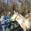 KOE_Barockesel im Wildpark 14.jpg