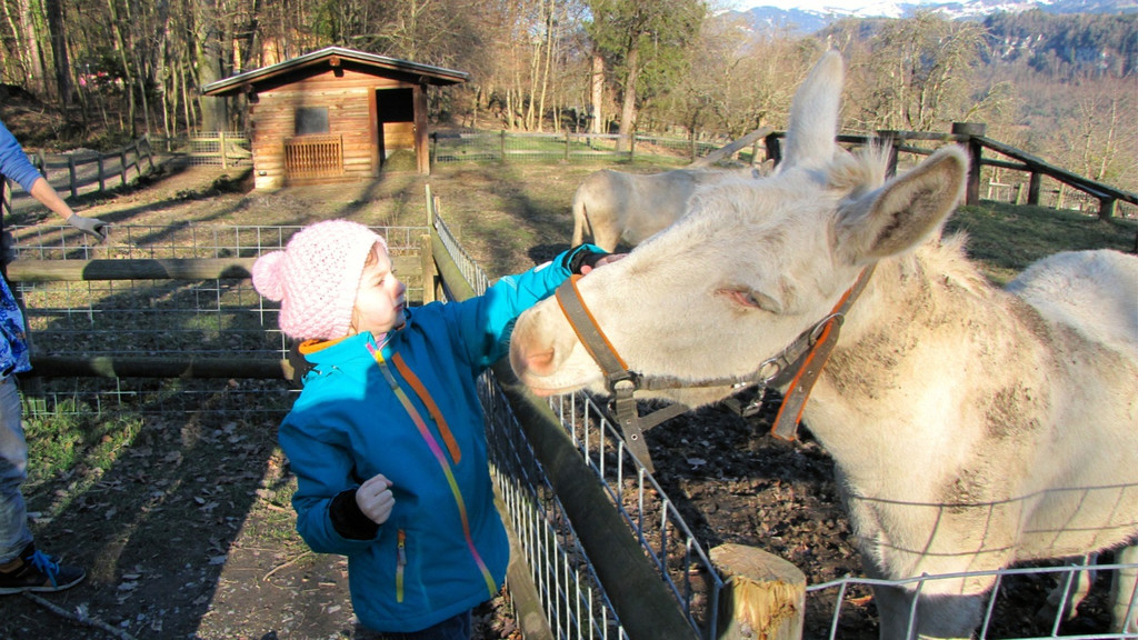 KOE_Barockesel im Wildpark 15.jpg