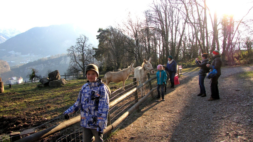 KOE_Barockesel im Wildpark 17.jpg