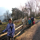 KOE_Barockesel im Wildpark 17.jpg