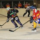 3 - Kopie.jpg