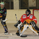 6 - Kopie.jpg
