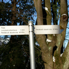 sm_gemeinde_margarethenkapf12.JPG