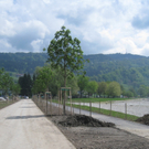 Kaiserstrand Seehotel MAI 2010 _18__jpg-1273398864