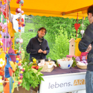 MarktKoblach019.jpg