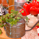 MarktKoblach052.jpg