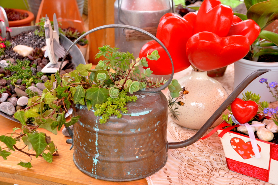 MarktKoblach052.jpg