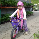 IMGP3819_JPG-1273403937