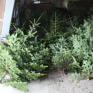 IMG_7056.JPG