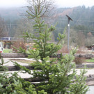 IMG_7064.JPG