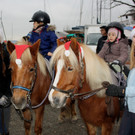 Adventzauber NIKOLAUSMARKT am Hafen 2014 _14_.JPG