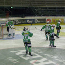 PA190069.JPG