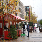 DSC_0242.JPG