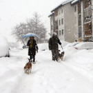 winter3.jpg
