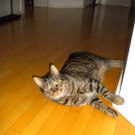 Bilder