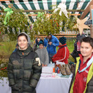 advent mistel.jpg