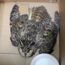 10122014_MA68_Lichtbildstelle _1_.jpg