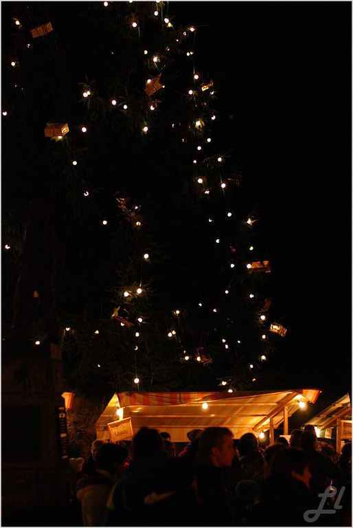 20141129_066_Christbaumfeier_weblight.JPG