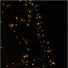 20141129_066_Christbaumfeier_weblight.JPG