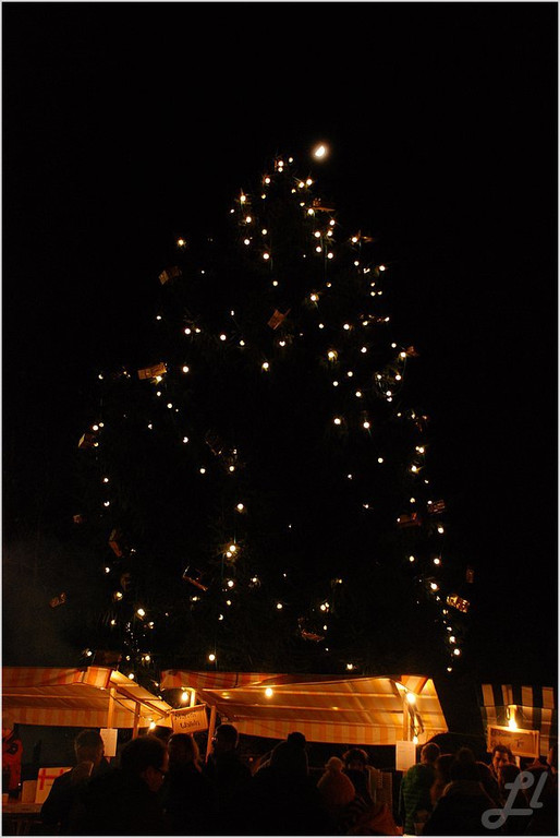 20141129_104_Christbaumfeier_weblight.JPG