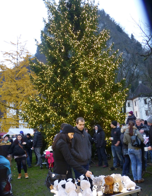 Markt9 Baum.jpg