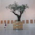 Scherling13 Museum_.jpg