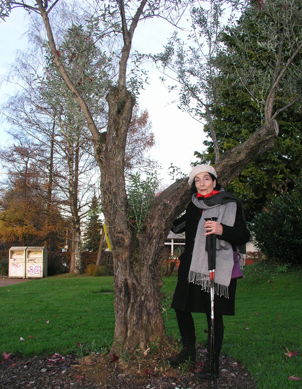 Scherling2a Baum.jpg