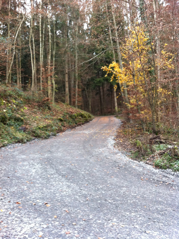 Foto 7.JPG