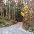 Foto 7.JPG