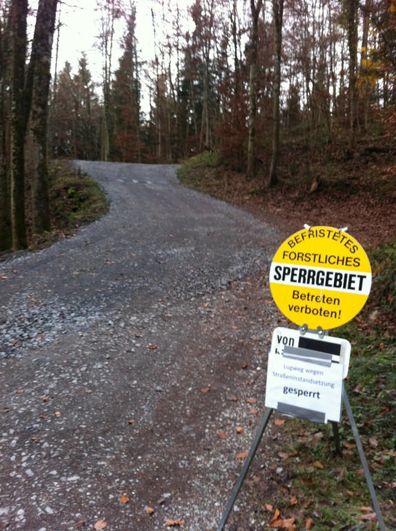Foto 6.JPG