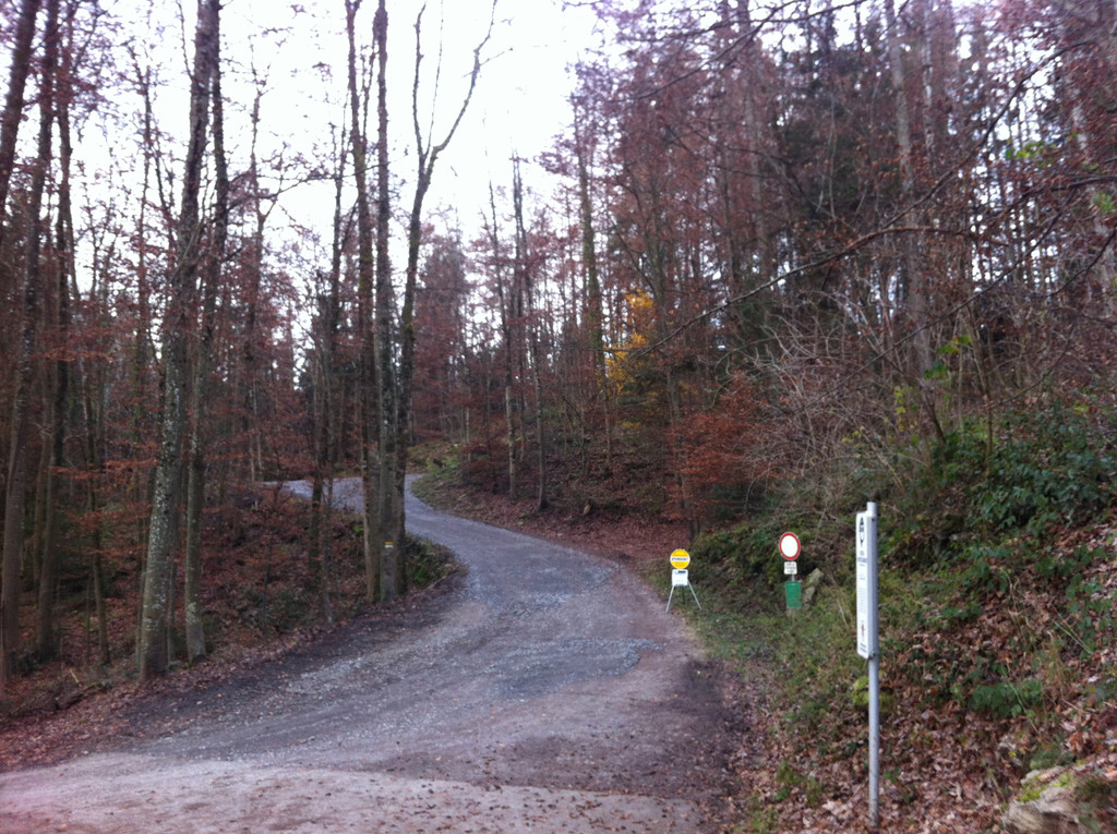 Foto 4.JPG