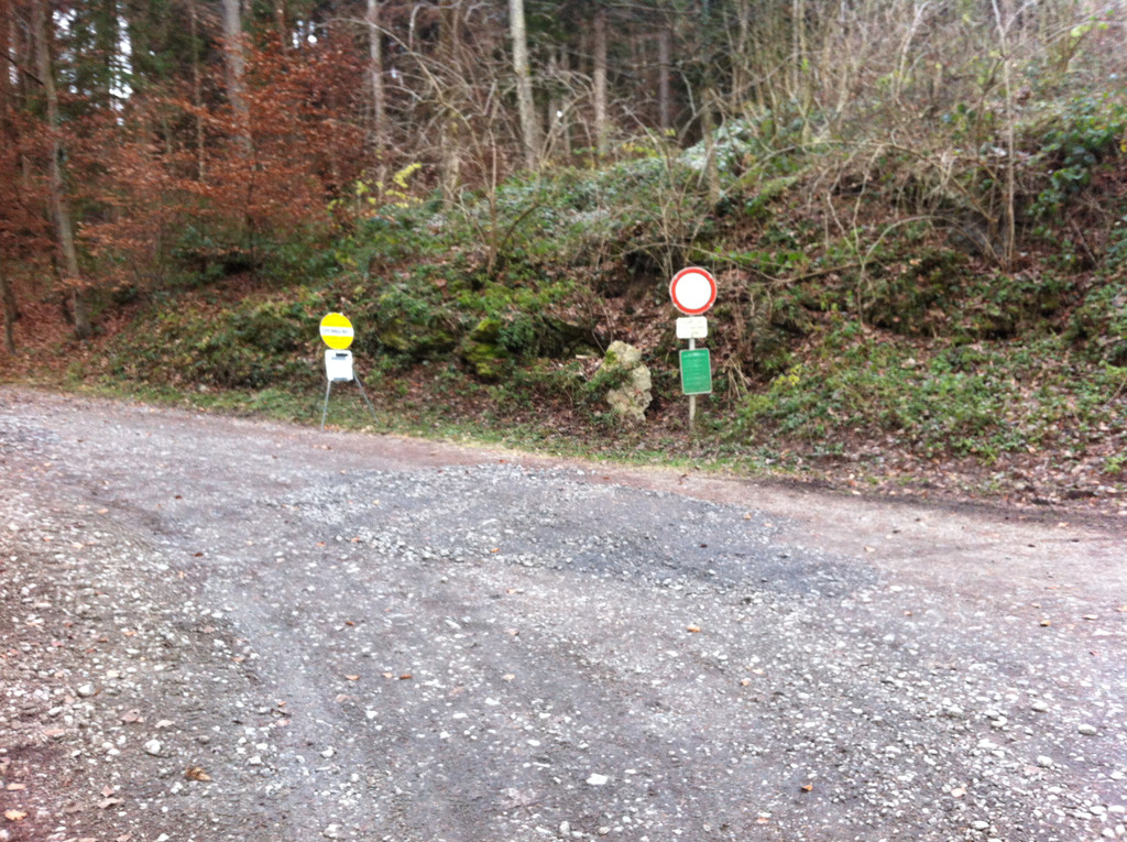 Foto 1.JPG