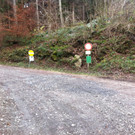 Foto 1.JPG