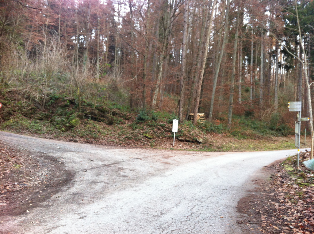 Foto 3.JPG