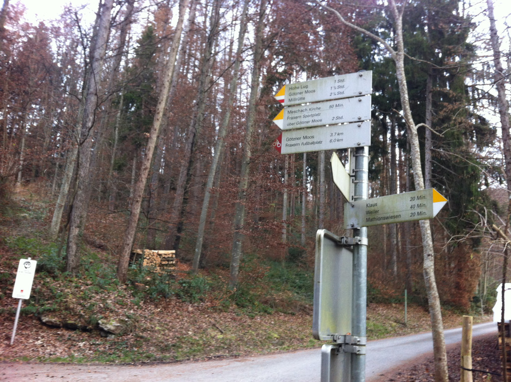 Foto 10.JPG